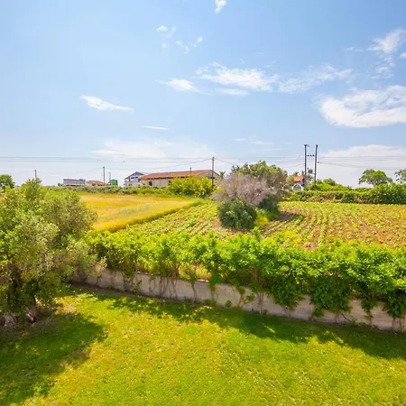 Deluxe Villa Afytos